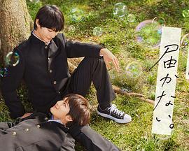 SEO优化策划方案模板